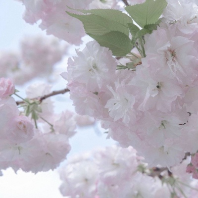 兽设细节刻画技巧福瑞群